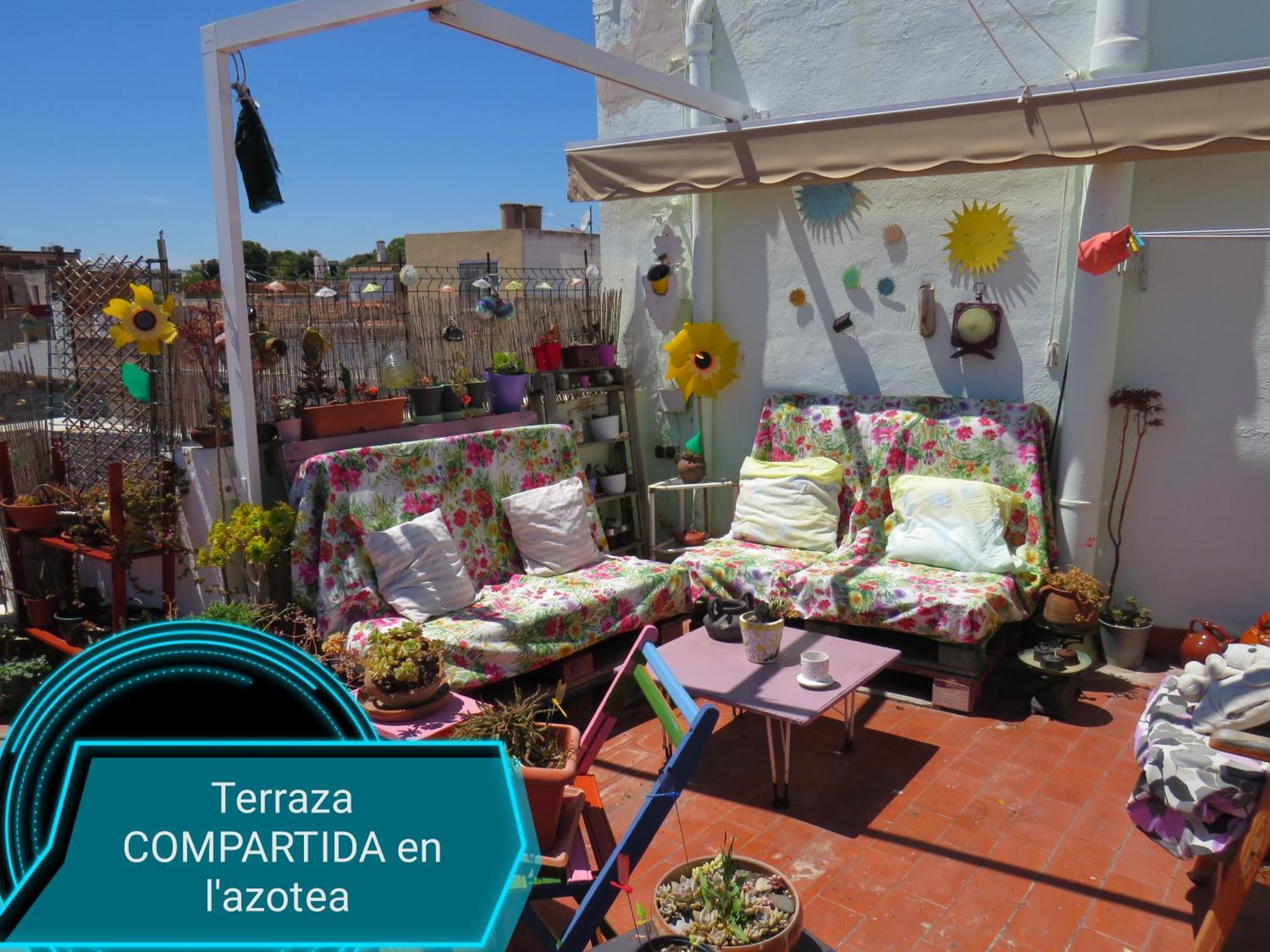 Lo Flamenc @Amposta Apartment Exterior photo
